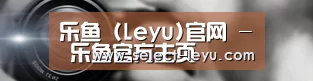公司动态