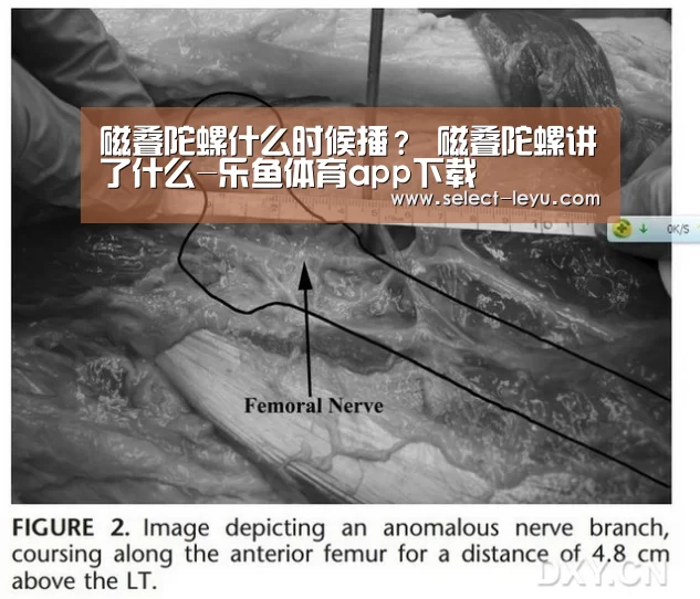乐鱼体育app官网