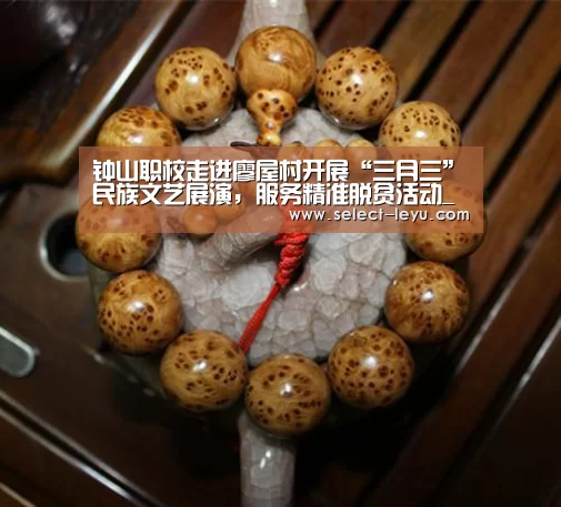 钟山职校走进廖屋村开展“三月三”民族文艺展演,服务精准脱贫活动_乐鱼体育app下载(图1) 乐鱼APP